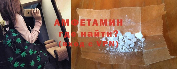 индика Богородицк