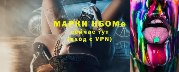 индика Богородицк