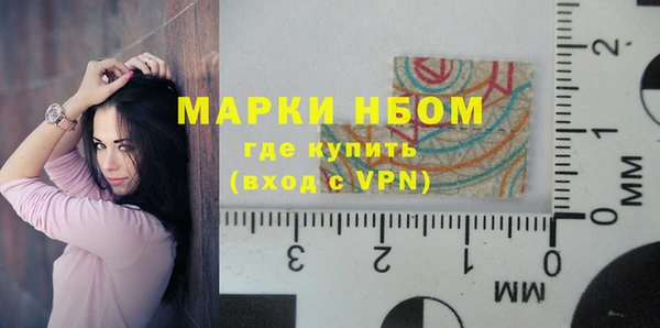 индика Богородицк