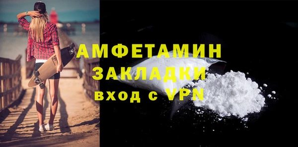 индика Богородицк