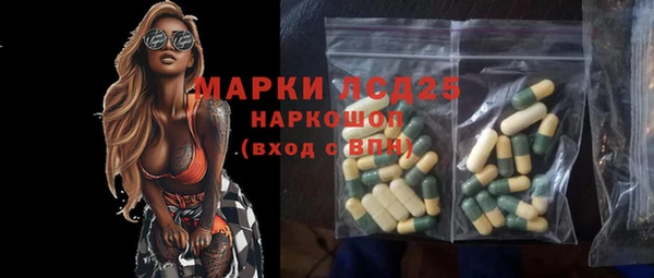 индика Богородицк