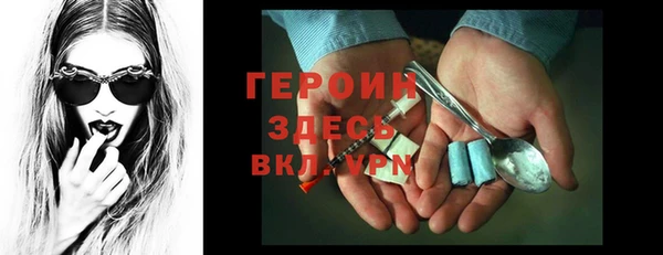 индика Богородицк