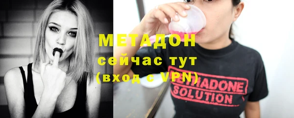 индика Богородицк