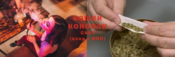 индика Богородицк