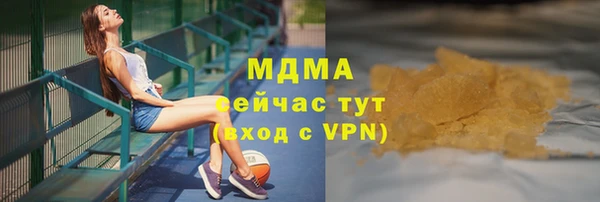 индика Богородицк