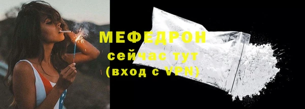 индика Богородицк