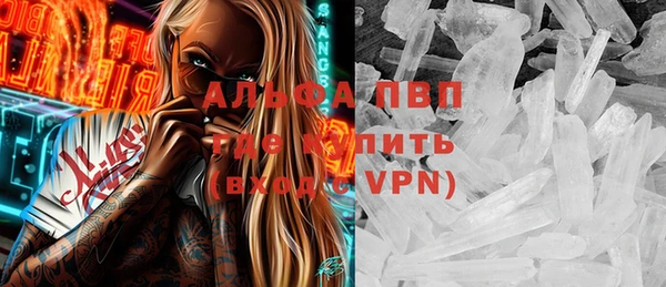 индика Богородицк