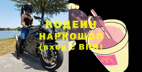 индика Богородицк
