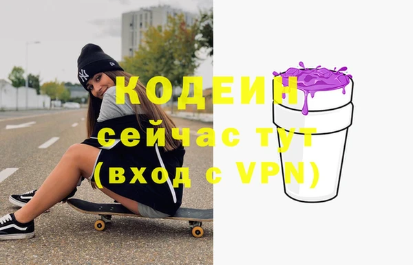 индика Богородицк