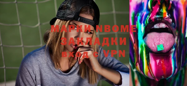 индика Богородицк