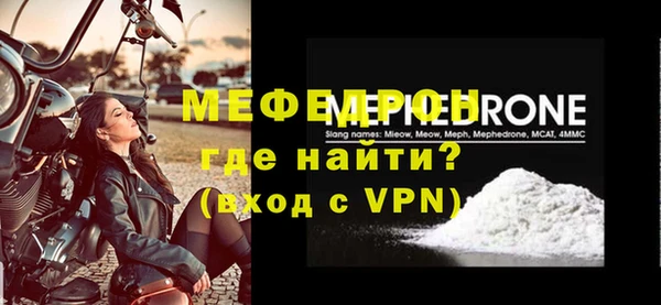 индика Богородицк