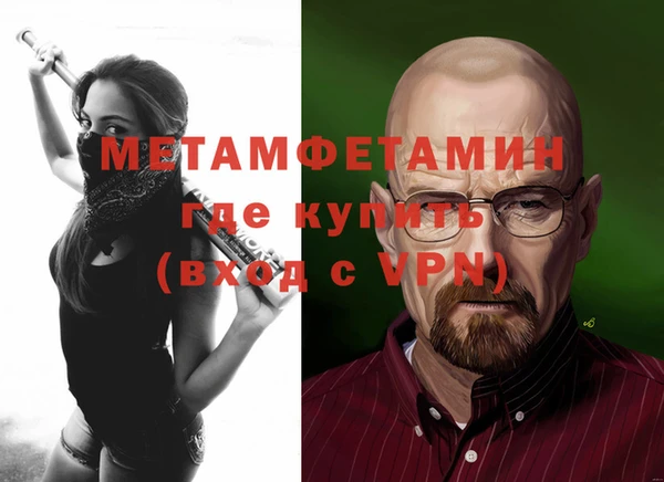 индика Богородицк